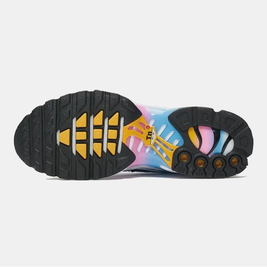 Nike Air Max Plus Summer Gradient