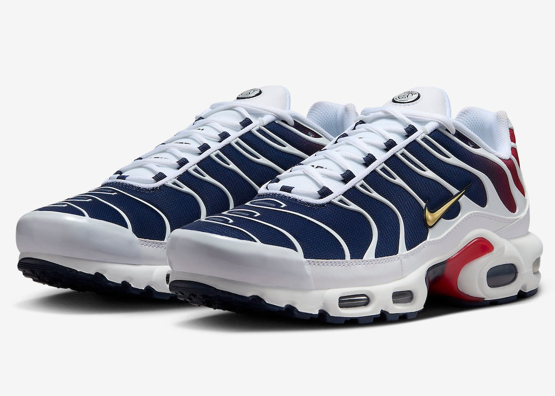 Nike Air Max Plus PSG