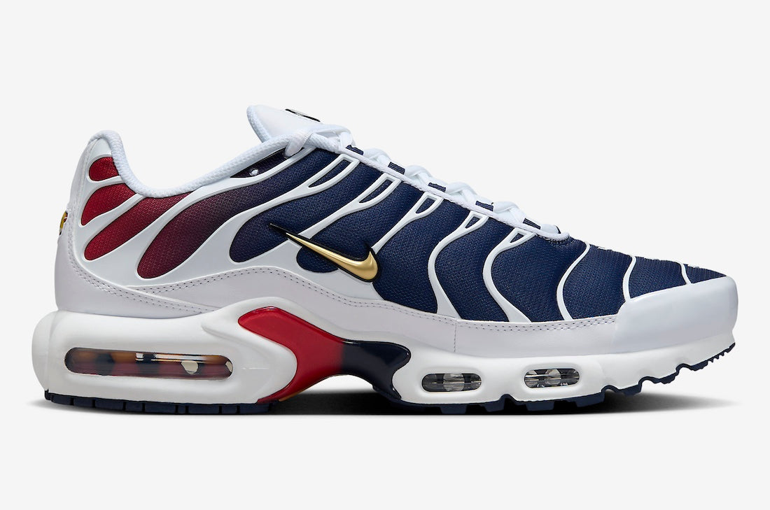 Nike Air Max Plus PSG