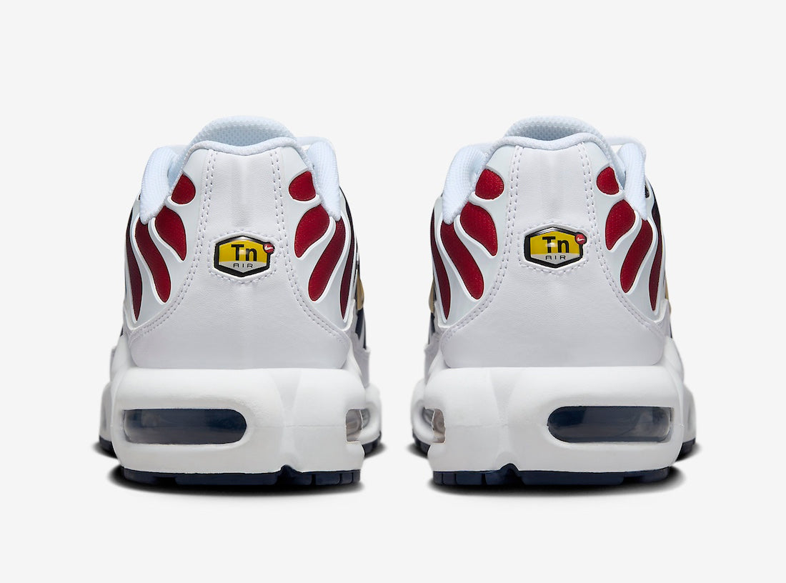 Nike Air Max Plus PSG